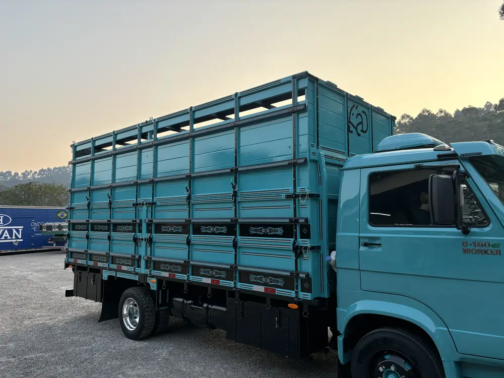 Carroceria boiadeira para transporte de animais (foto 4 de 5)
